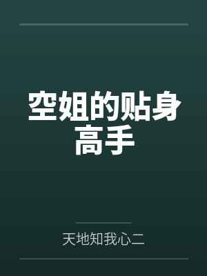 空姐的贴身高手
